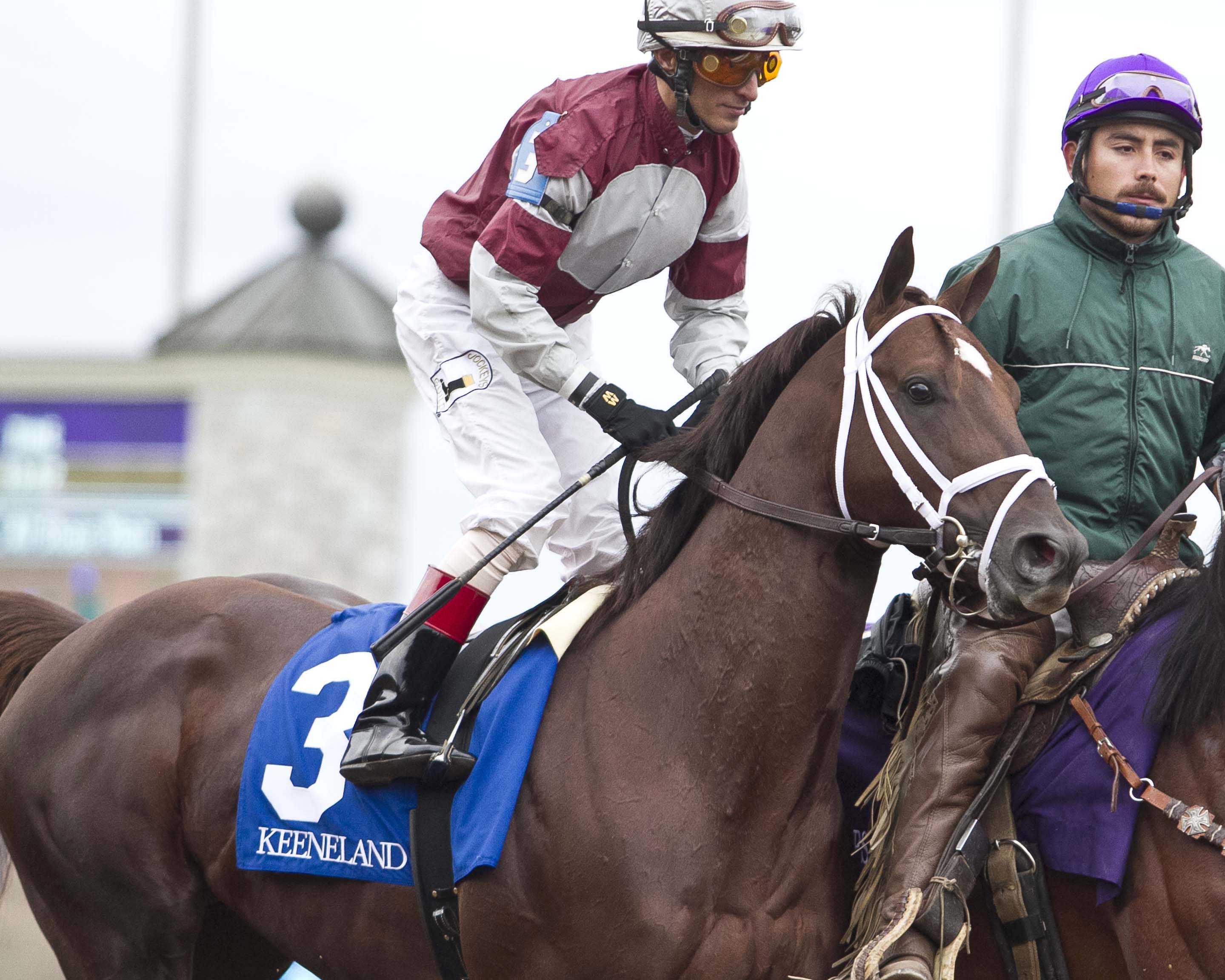 Lord Commander at the Perryville Stakes