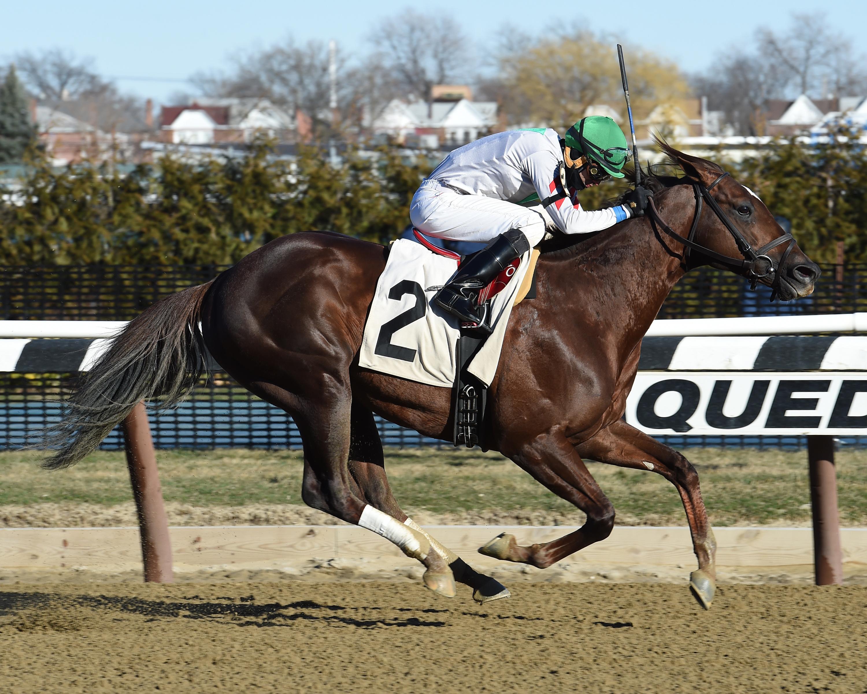 Hector Diaz Jr. guides Lord Commander to a win in a March 5 claiming race