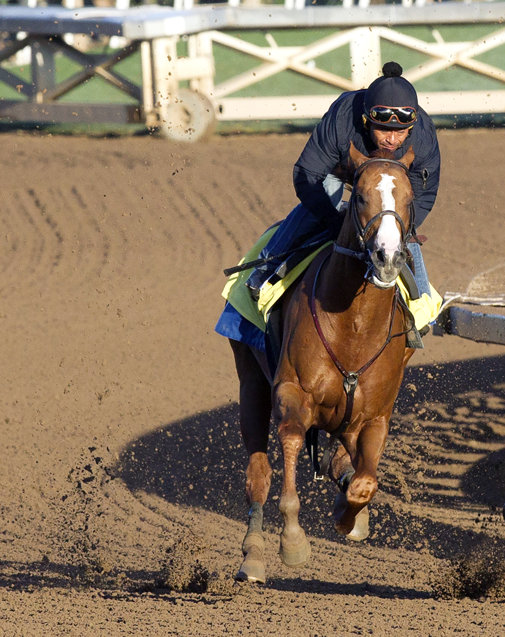 Lord Nelson trains at Santa Anita on Oct. 26