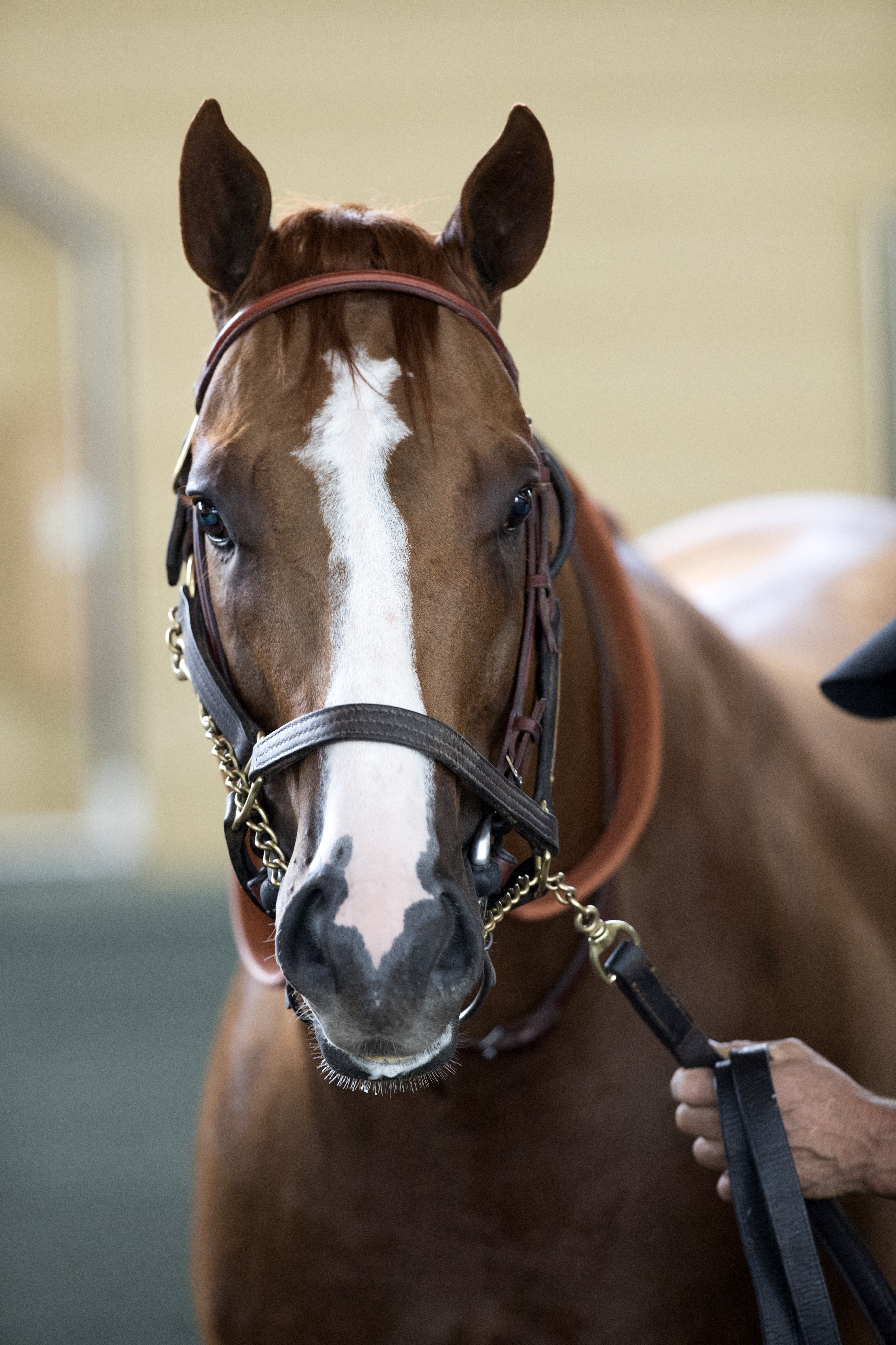 Lord Nelson