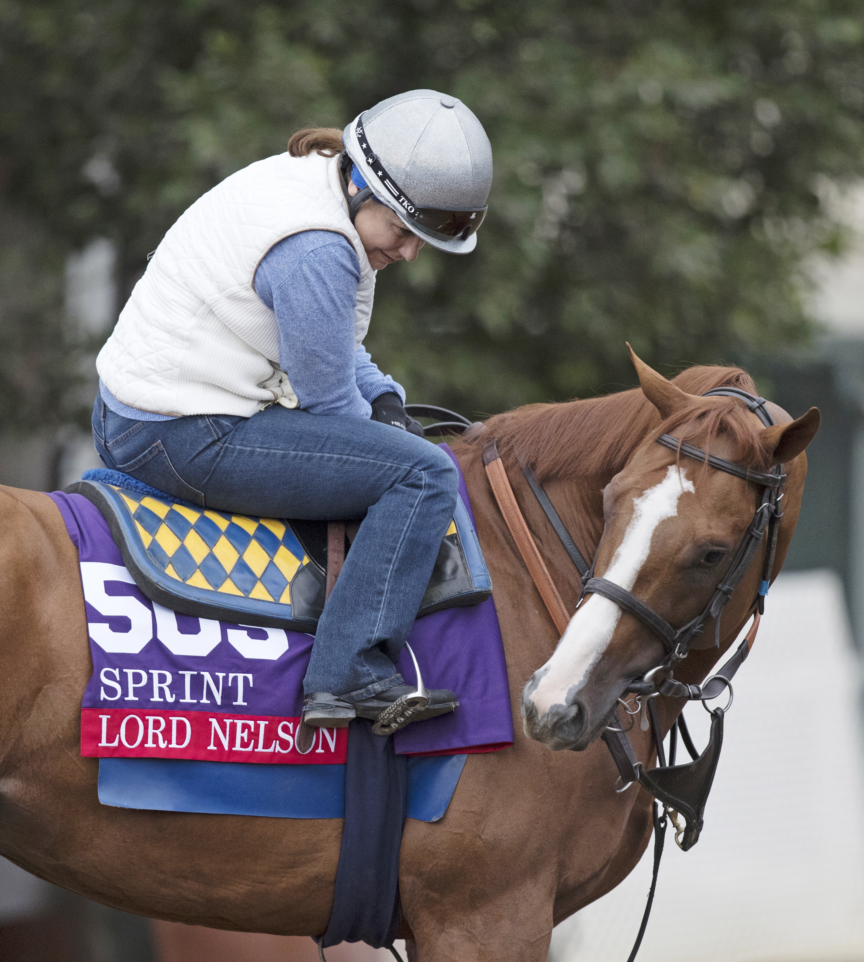 Lord Nelson at Santa Anita on Oct. 30