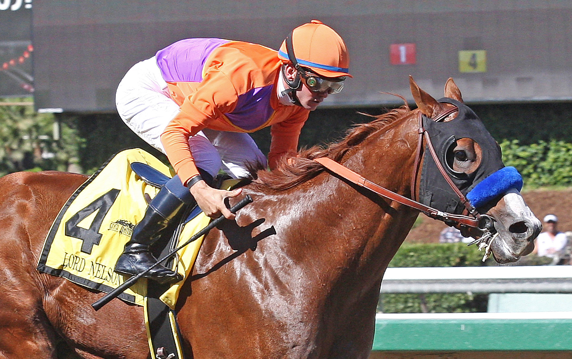 Lord Nelson Eclipse