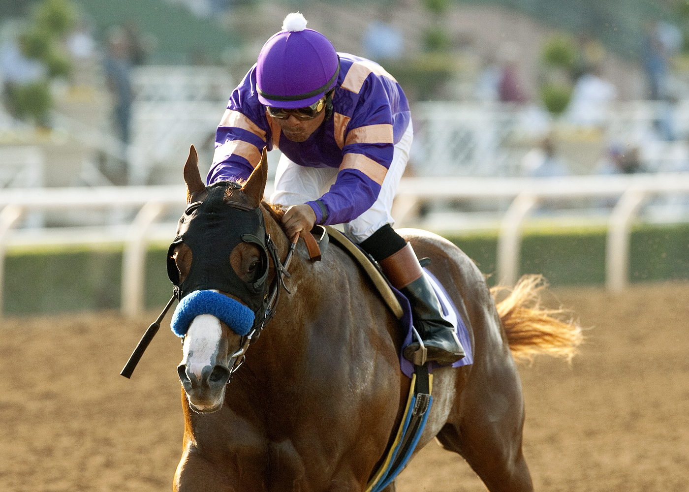 Lord Nelson wins the Speakeasy