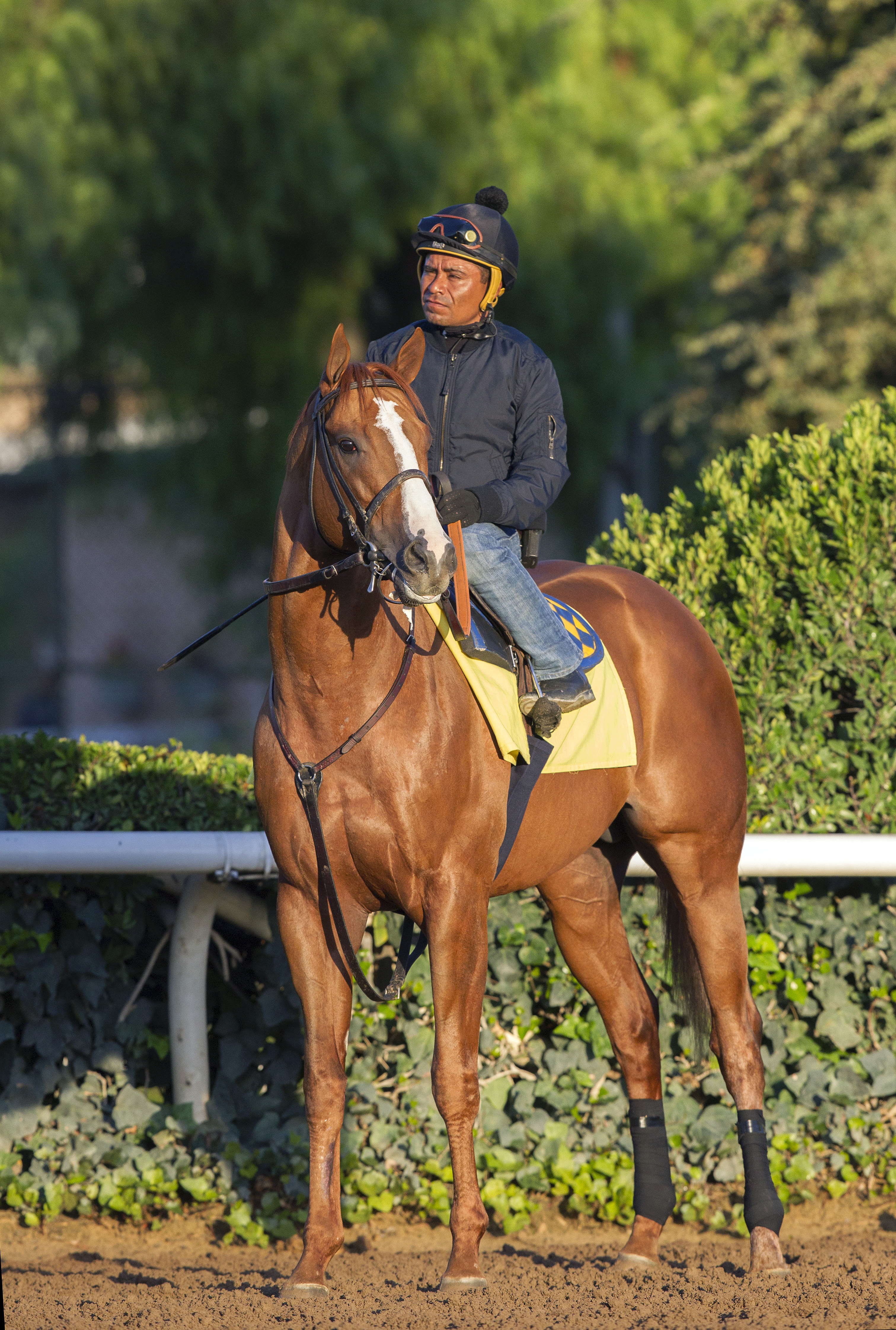 Lord Nelson at Santa Anita on Oct. 26