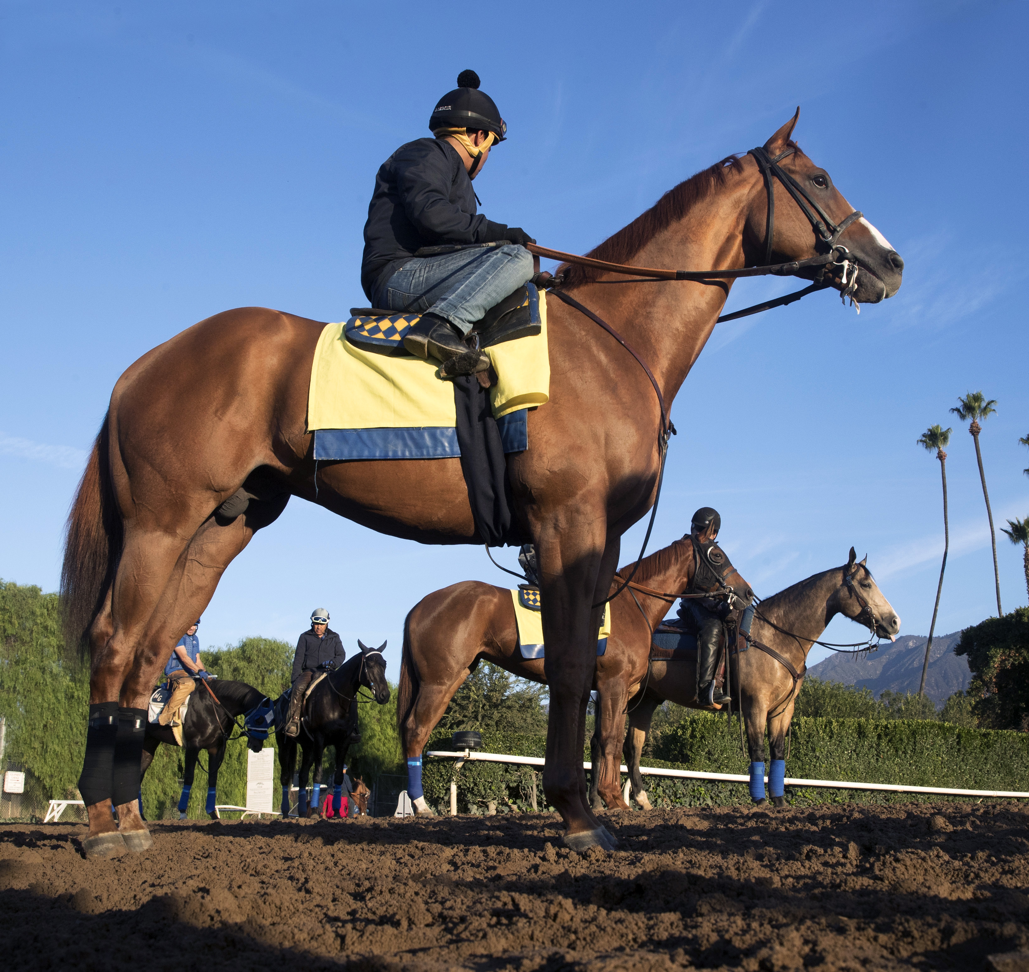 Lord Nelson at Santa Anita on Oct. 26
