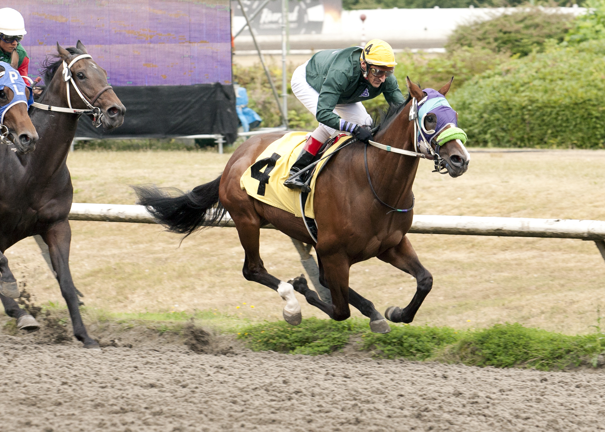 Lord Rosberg wins the CTHS Sales Stakes