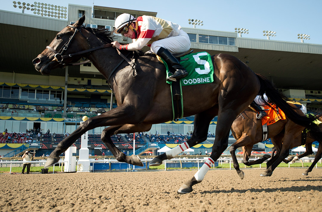 Lorena wins the 2021 Fury Stakes at Woodbine