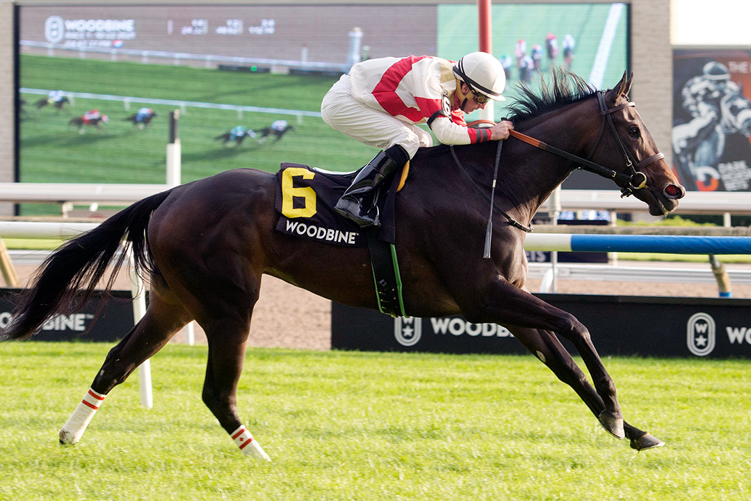 Lorena wins the 2021 Thunder Bay Stakes at Woodbine Racetrack