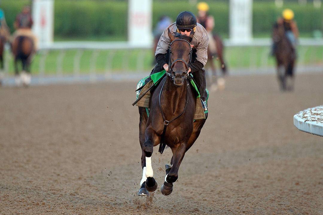 Lorena trains at Woodbine on July 28