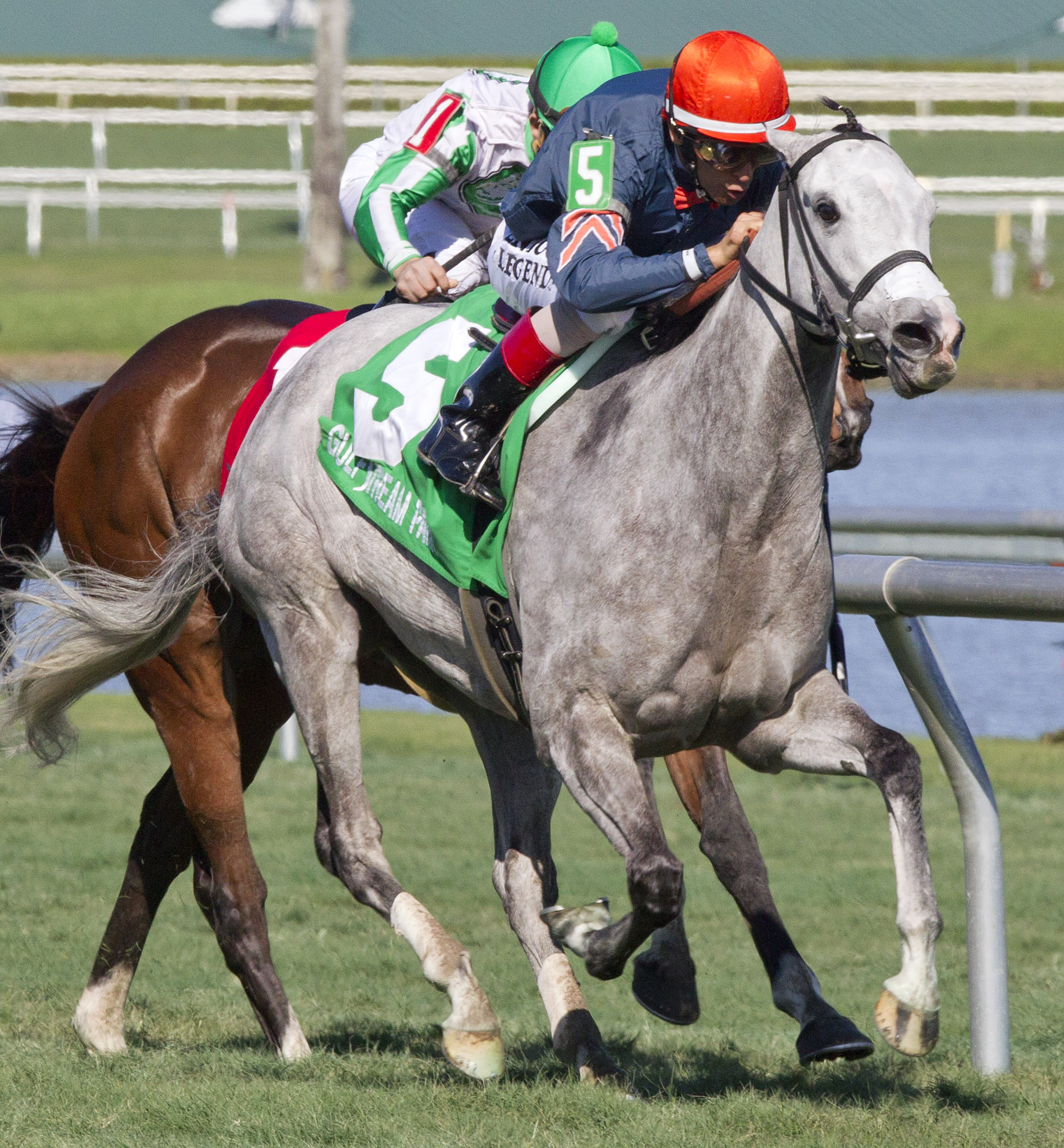 Lori's Store wins 2015 Sunshine Millions F-M Turf