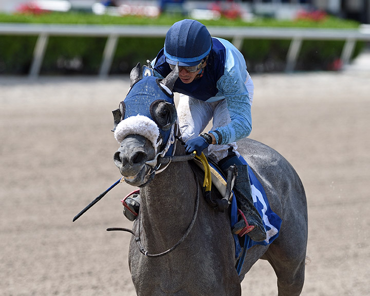 Loriloupies wins a May 2 optional claiming race at Gulfstream