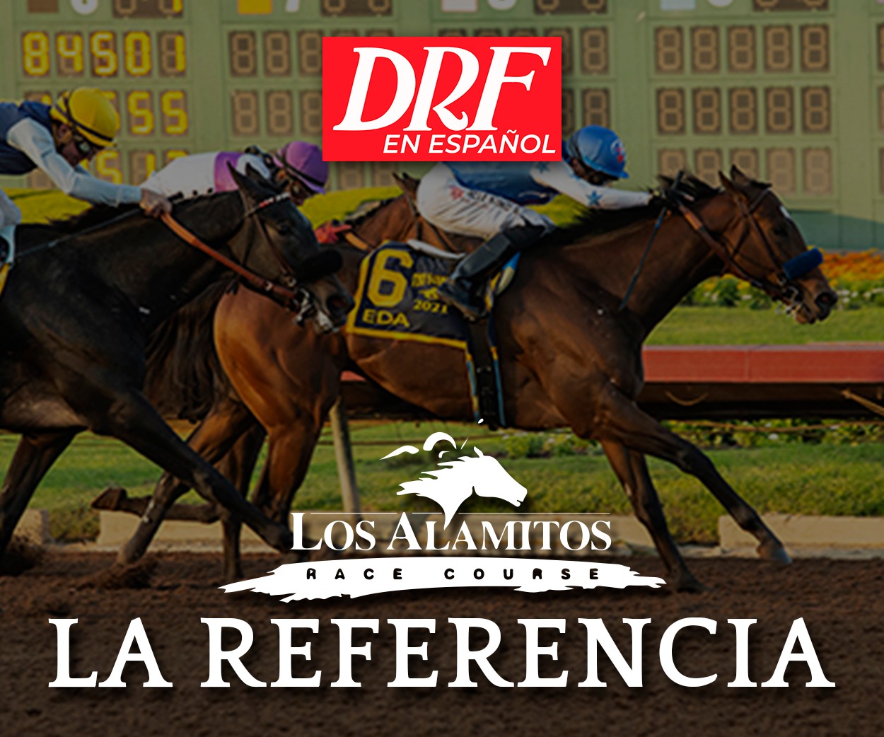 La Referencia - Los Alamitos