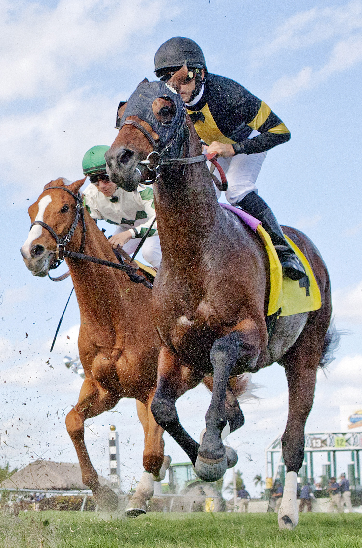 Los Borrachos finishes fifth in an allowance race