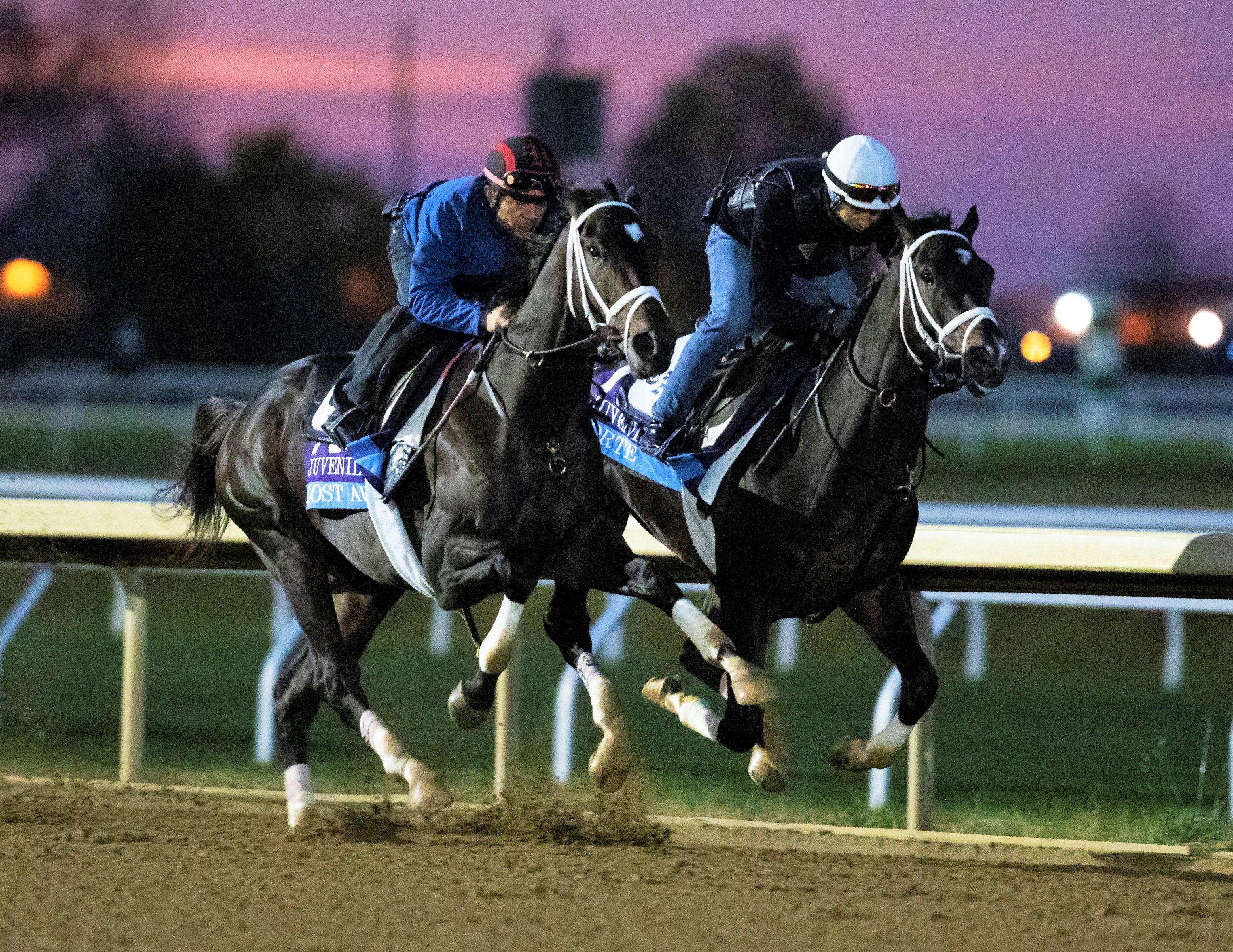 Lost Ark (left) and Forte breeze at Keeneland Oct 28 2022