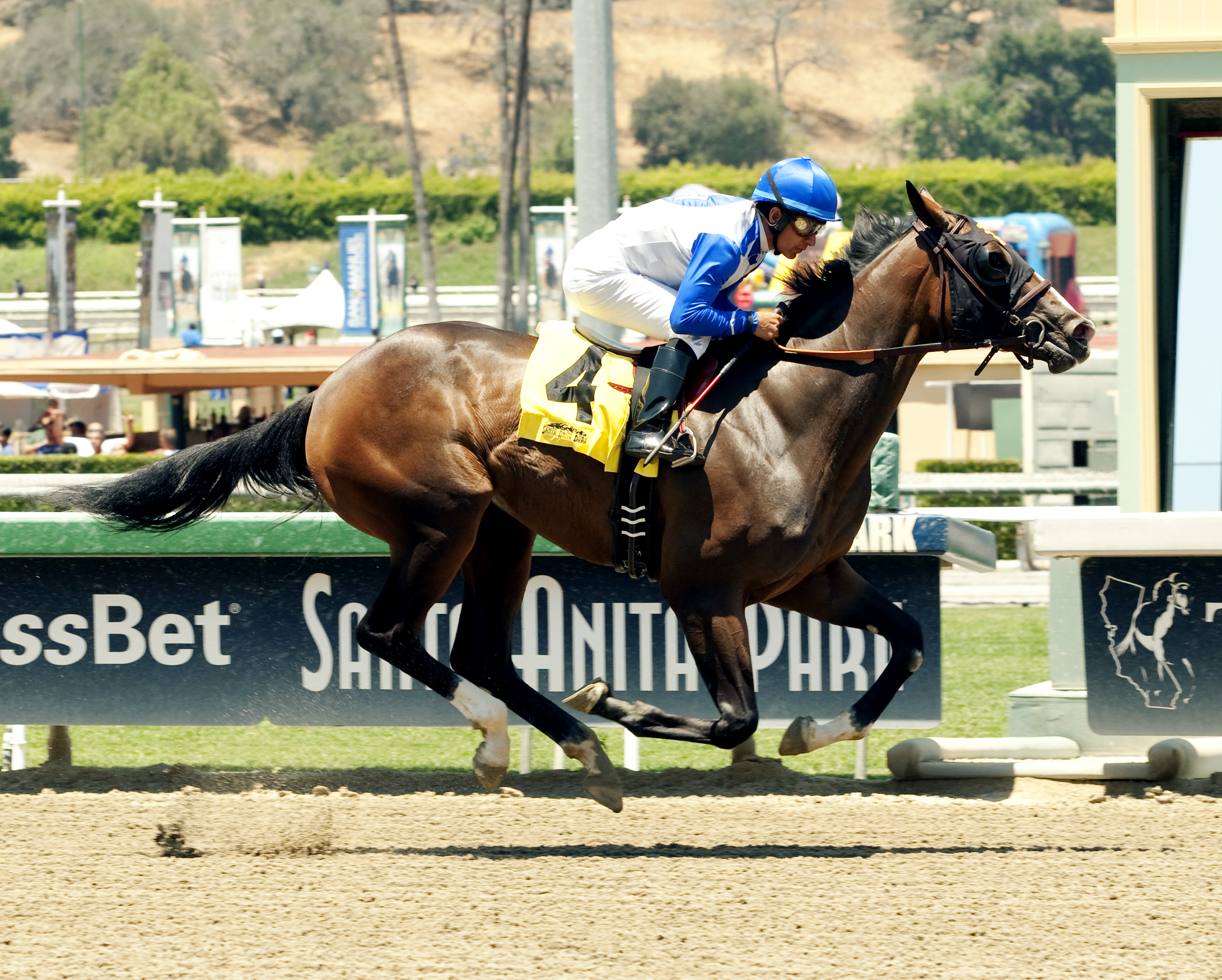 Lost Bus wins a maiden race