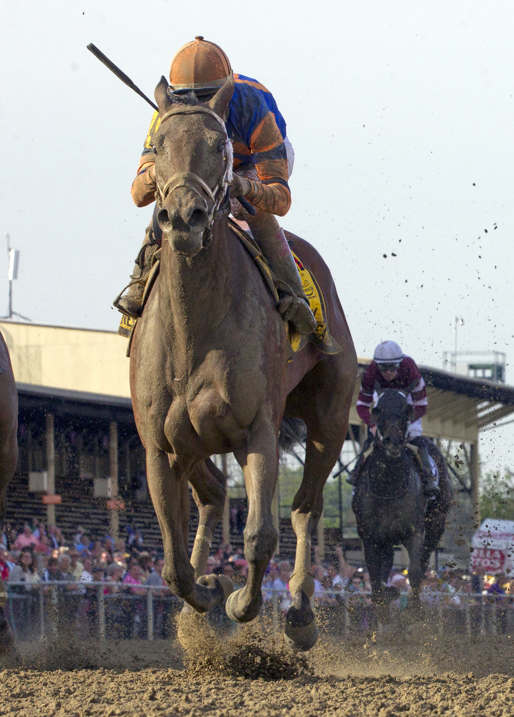 Lost Raven wins the Miss Preakness head-on