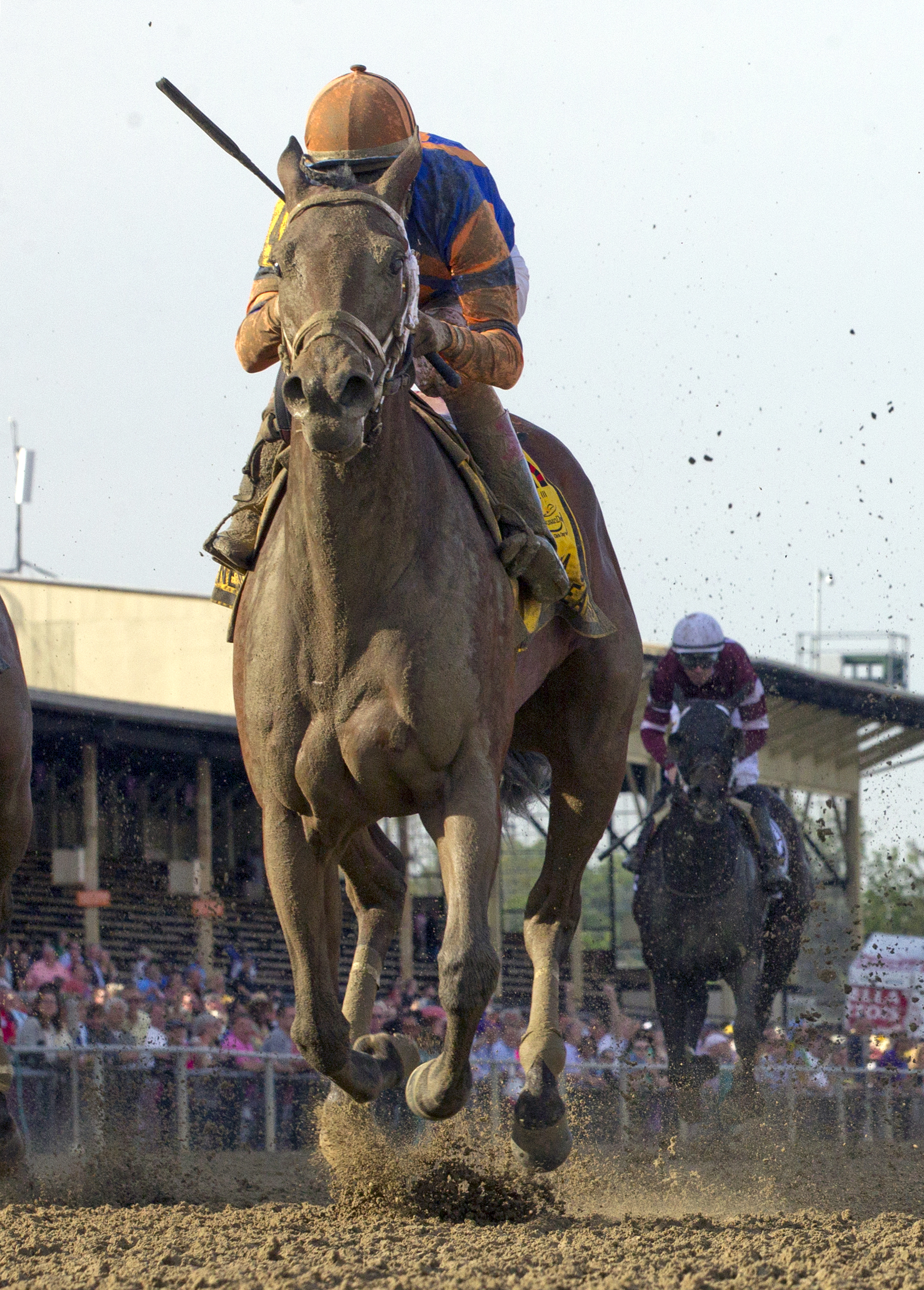 Lost Raven wins the Miss Preakness