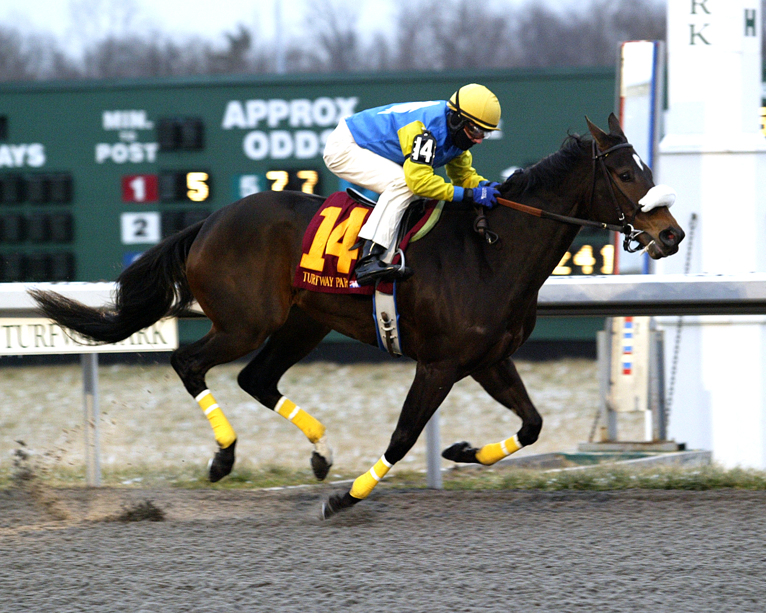 Lou's Angel 1-14-2012