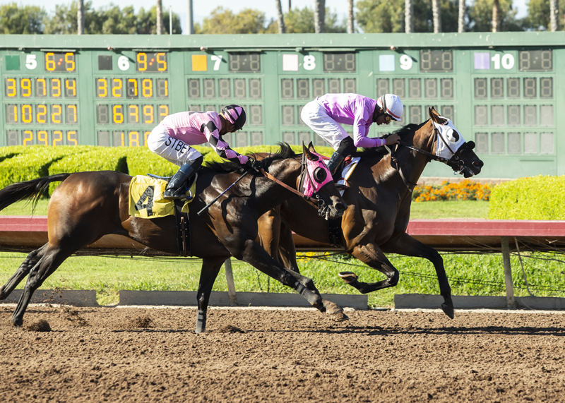 Loud Mouth (4) wins E.B. Johnston 9-12-2021