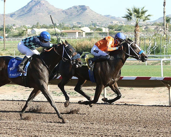Loud N Proud wins the 2018 ATBA Fall Sales Stakes