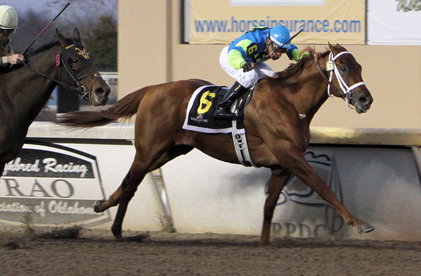 Louies Flower wins the Springboard Mile