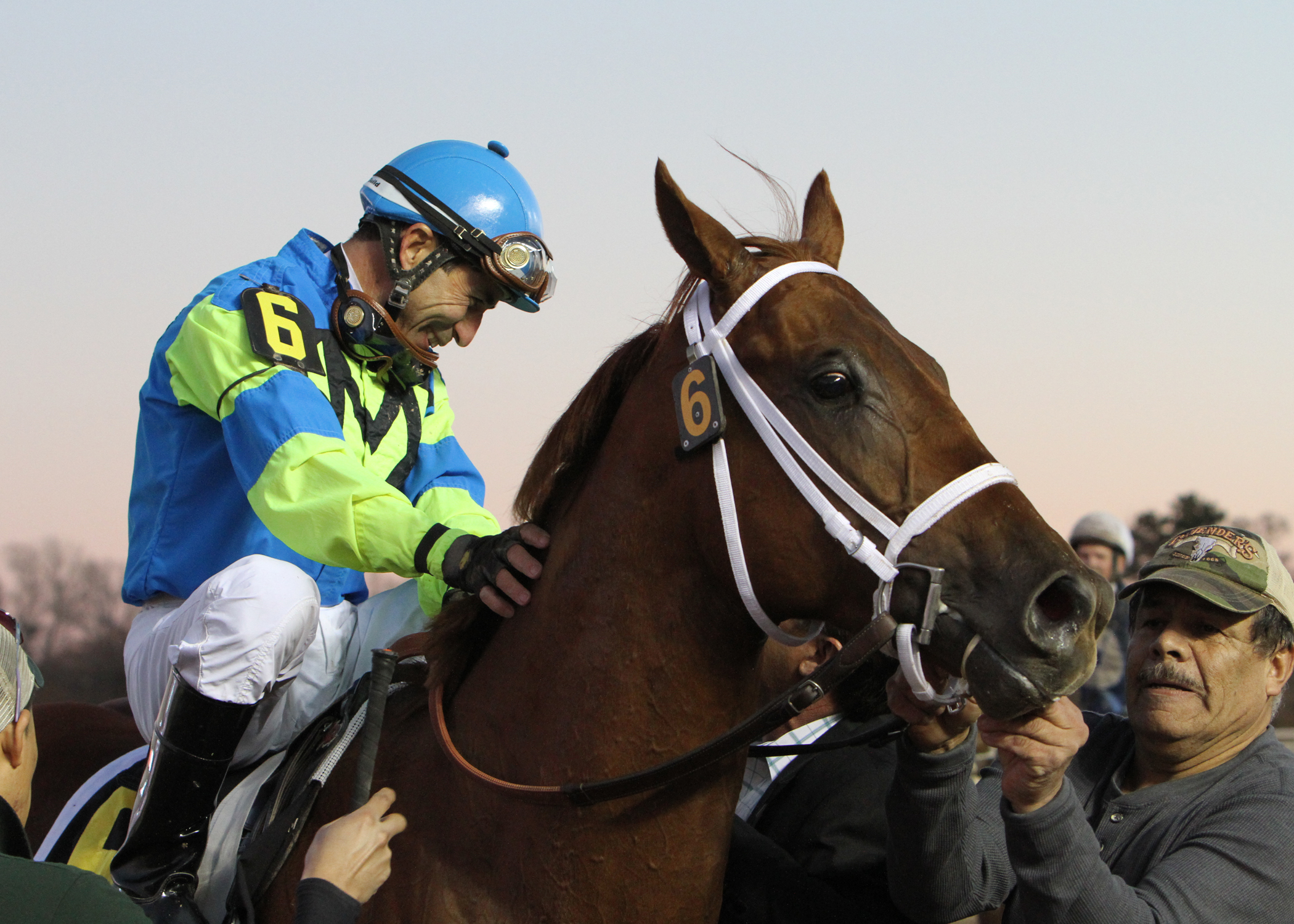 Louies Flower wins the Springboard Mile