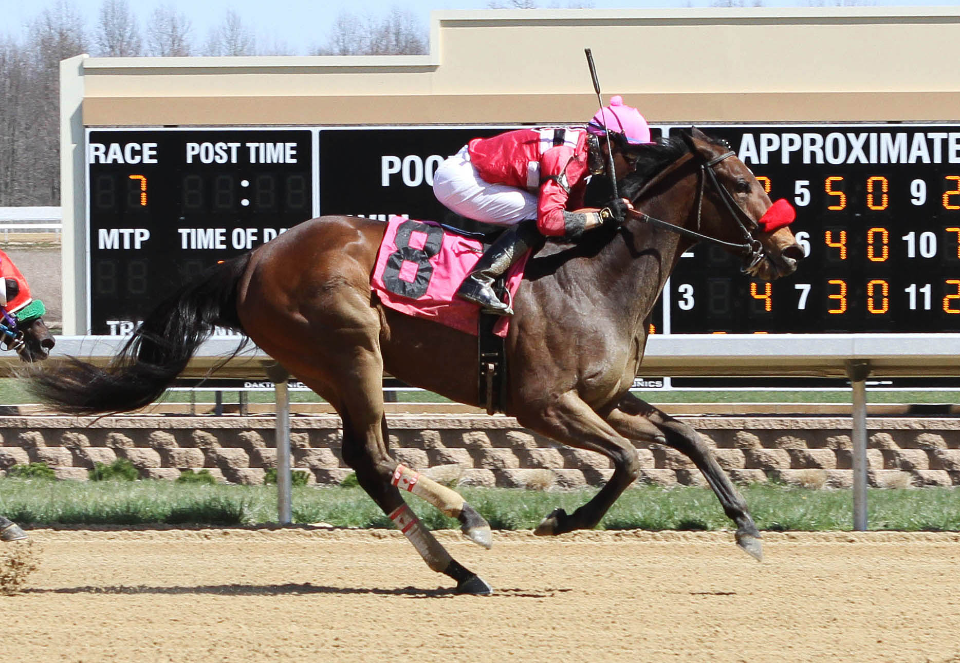 Lovable Lyss wins the Austintown Filly Sprint