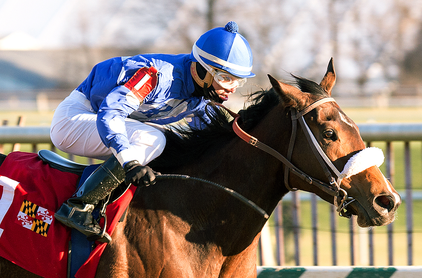 Mychel Sanchez wins the 2016 Nellie Morse with Love Came to Town