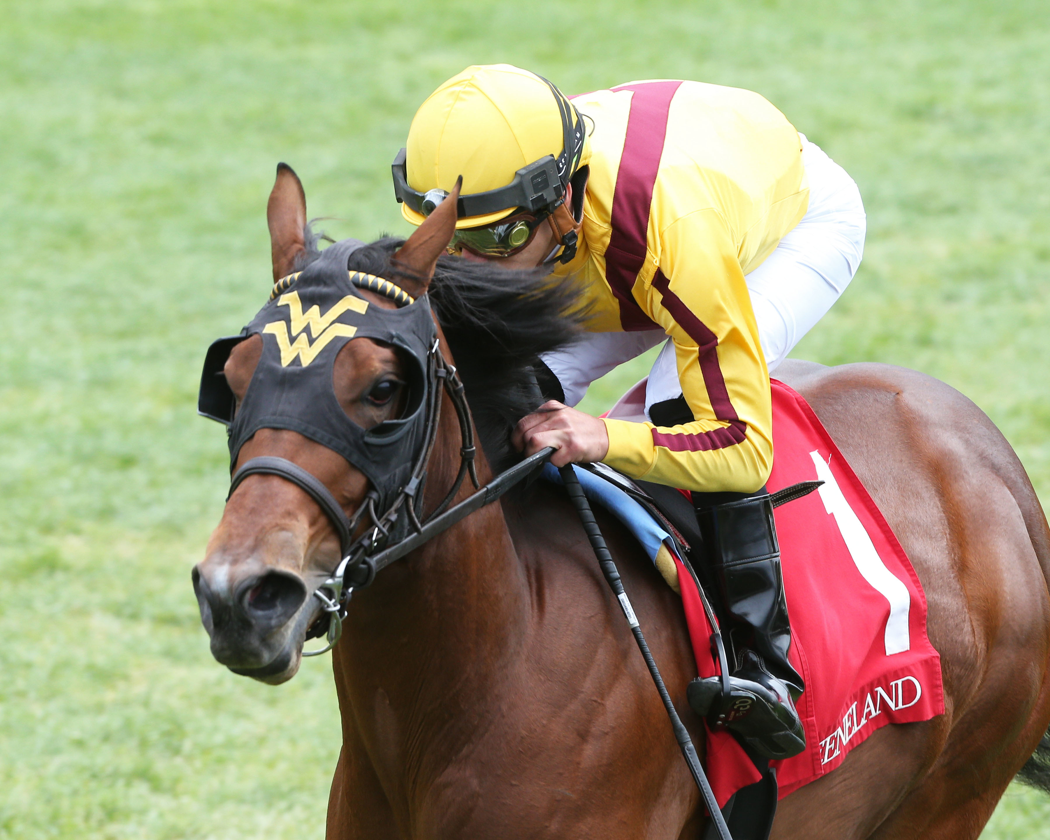 Love Reigns wins her debut at Keeneland by 9 3/4 lengths n April 29 2022