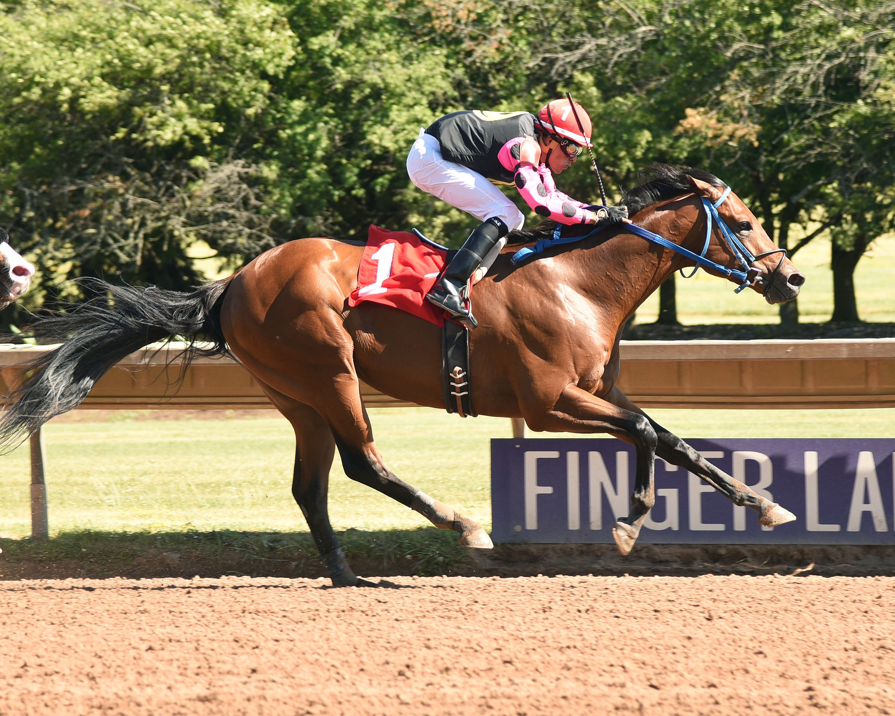 Love That Jazz wins the Ontario County Stakes