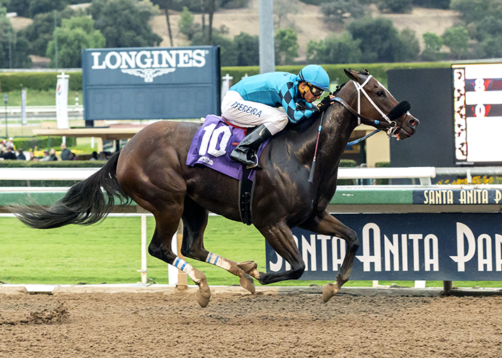 Love a Honeybadger wins the 2018 California Distaff Handicap at Santa Anita Park