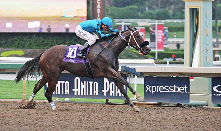 Love a Honeybadger wins the 2018 California Distaff
