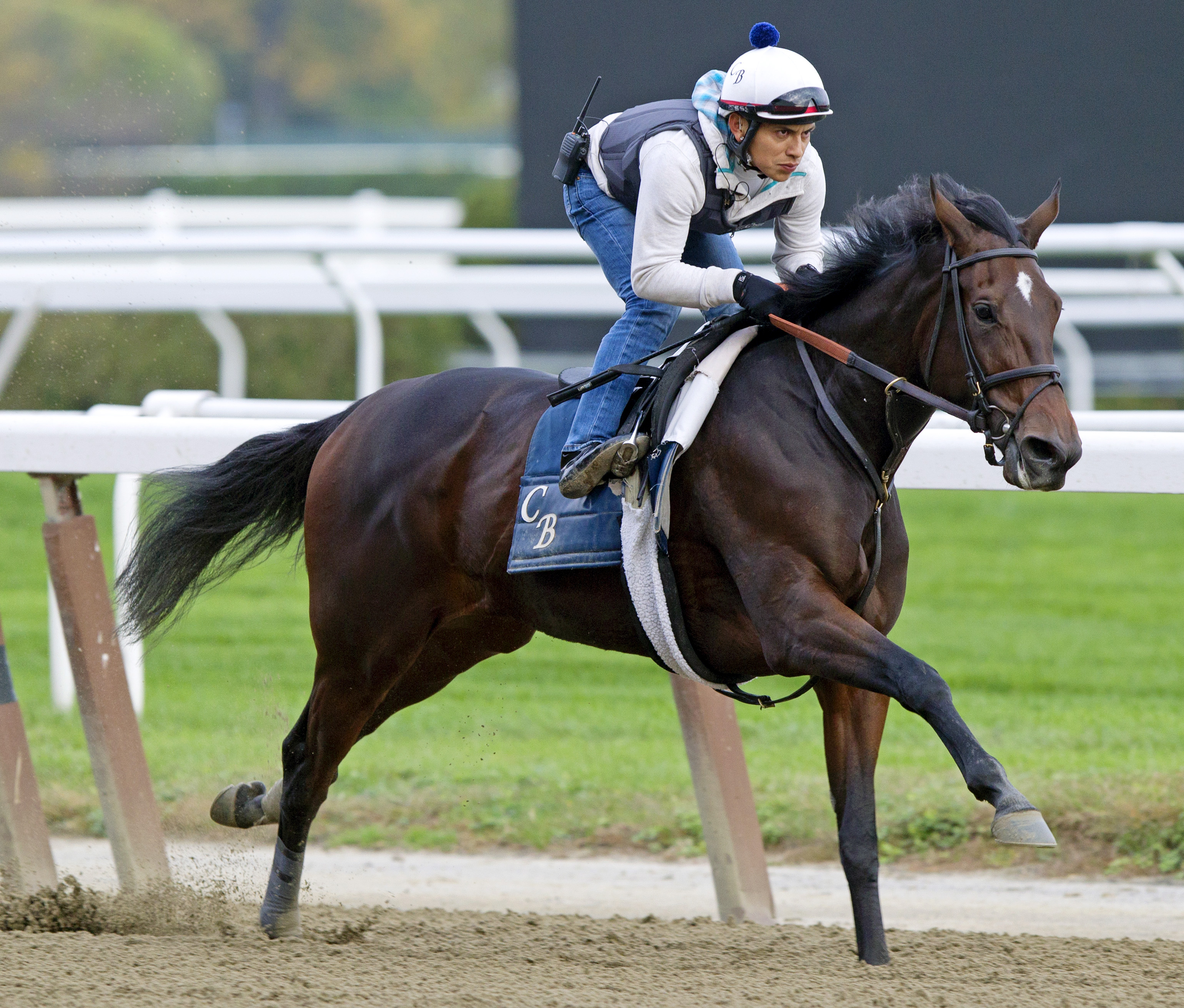 Love and Marriage trains at Belmont on Oct. 18