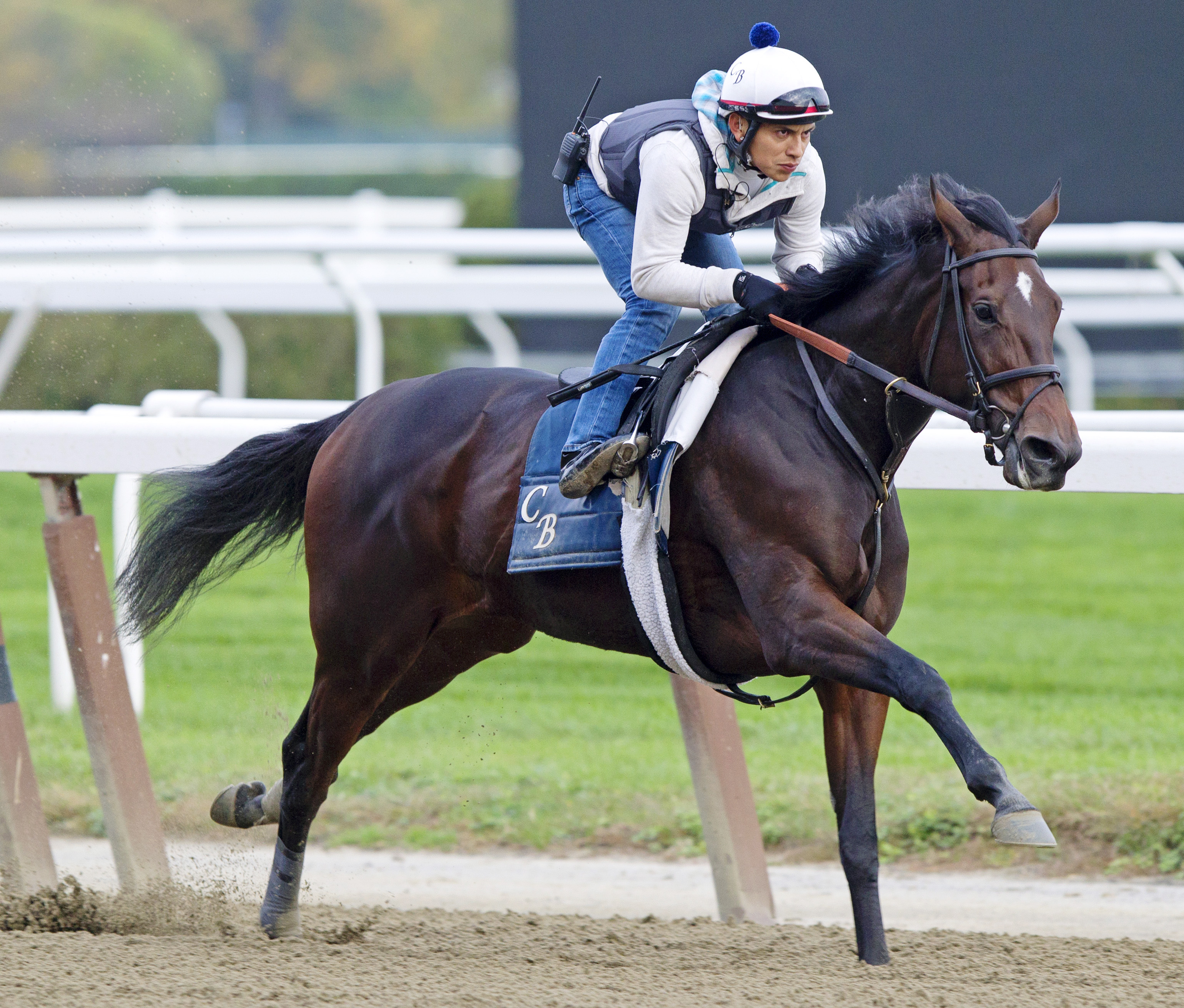 Love and Marriage training at Belmont