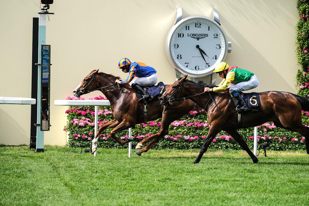 Love wins the 2021 Prince of Wales's Stakes at Royal Ascot