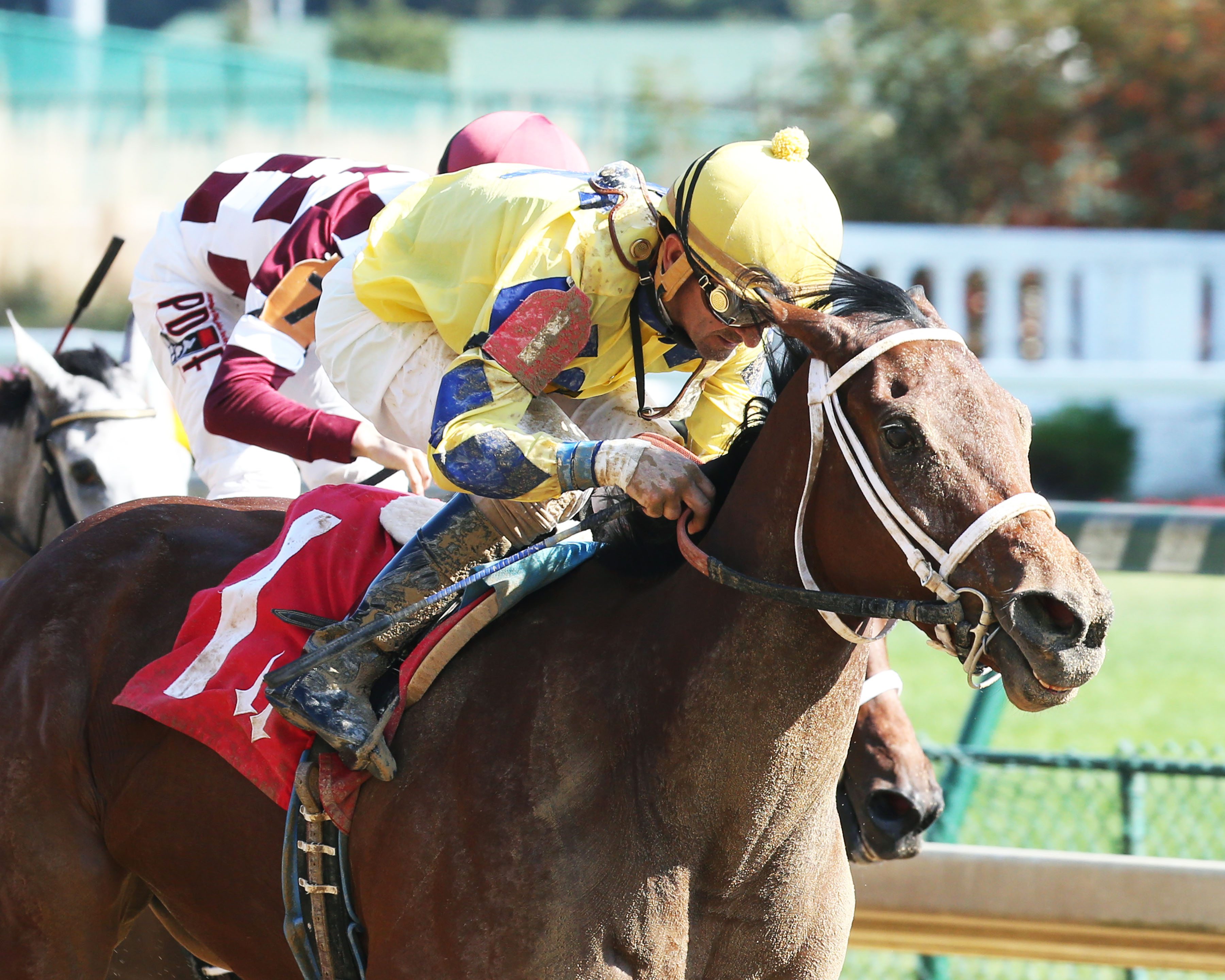 Lovely Bernadette wins the 2016 Rags to Riches