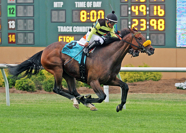 Lovely Loyree wins the 2018 Indiana General Assembly Distaff