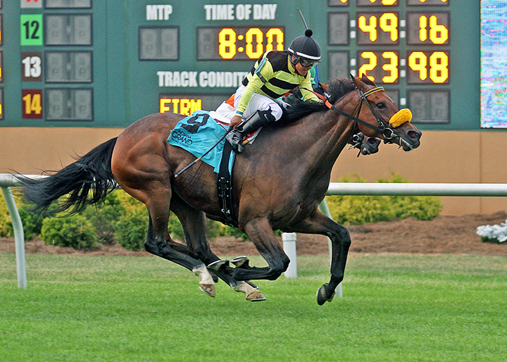 Lovely Loyree wins the 2018 Indiana General Assembly Distaff at Indiana Grand