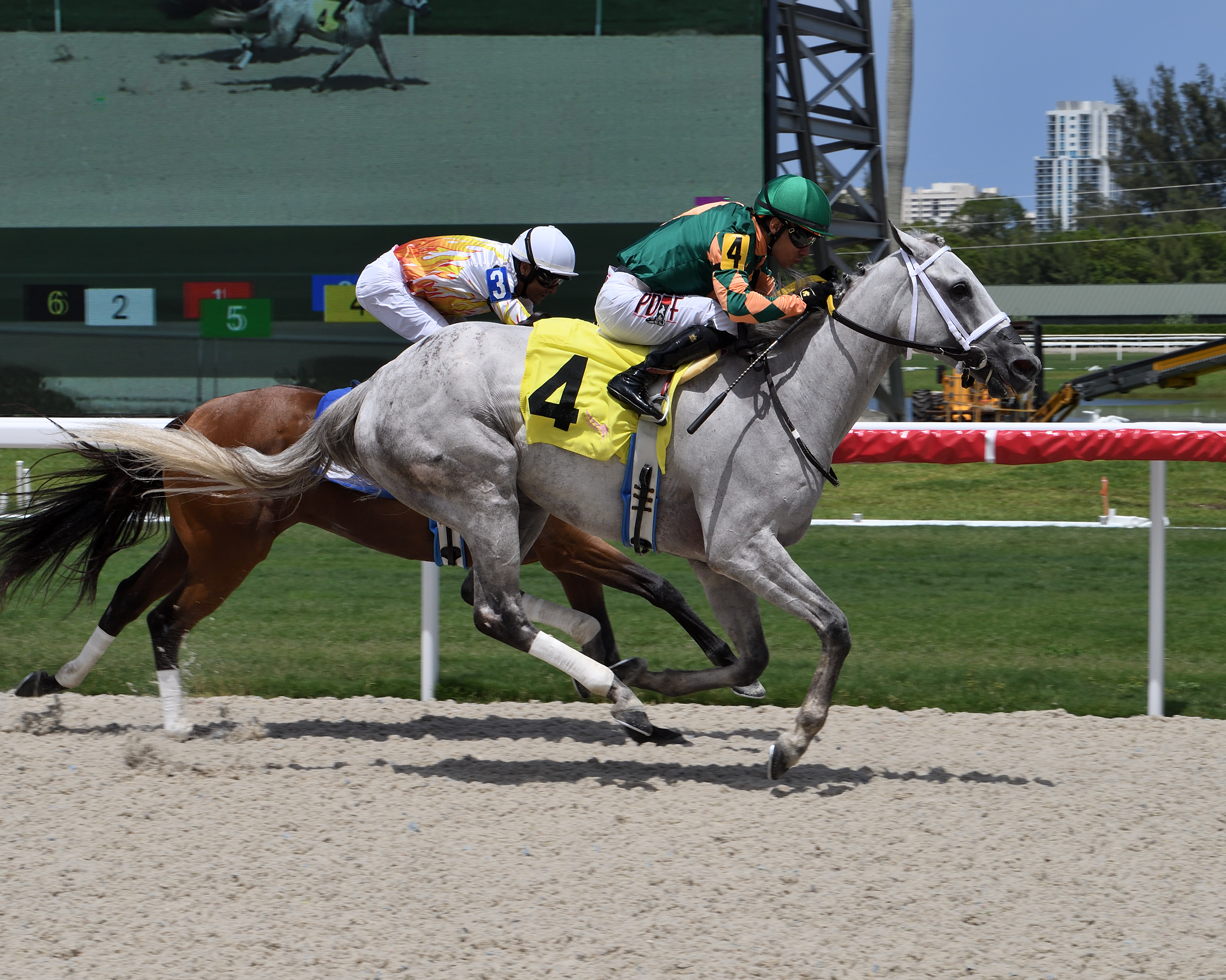 Lovely Luvy wins Ginger Punch 6-12-2022