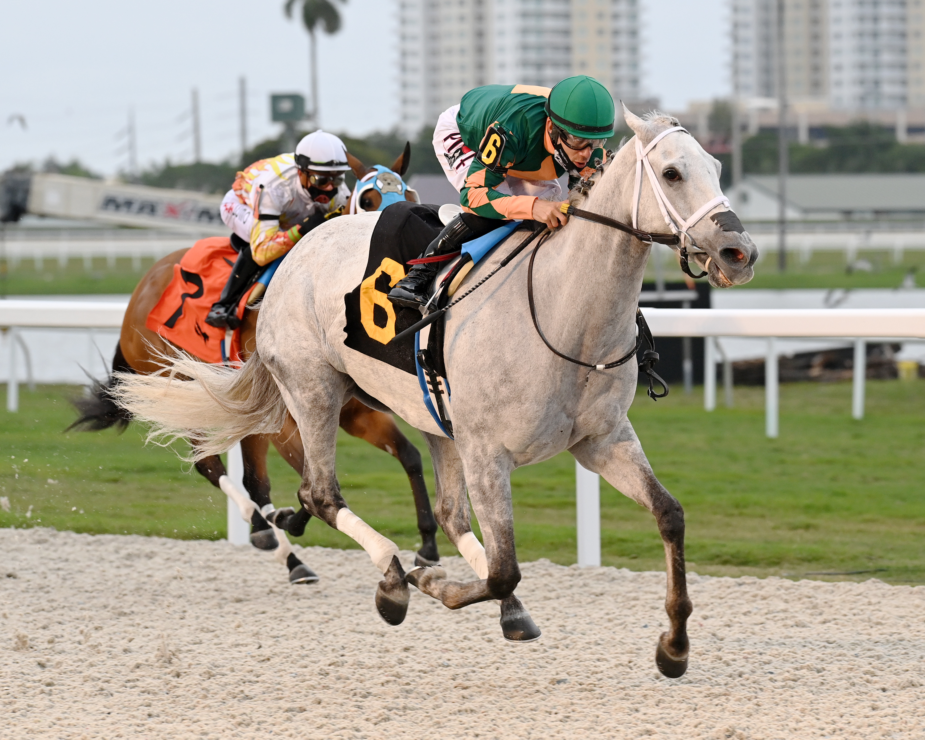Lovely Luvy - Sunshine F&M Turf