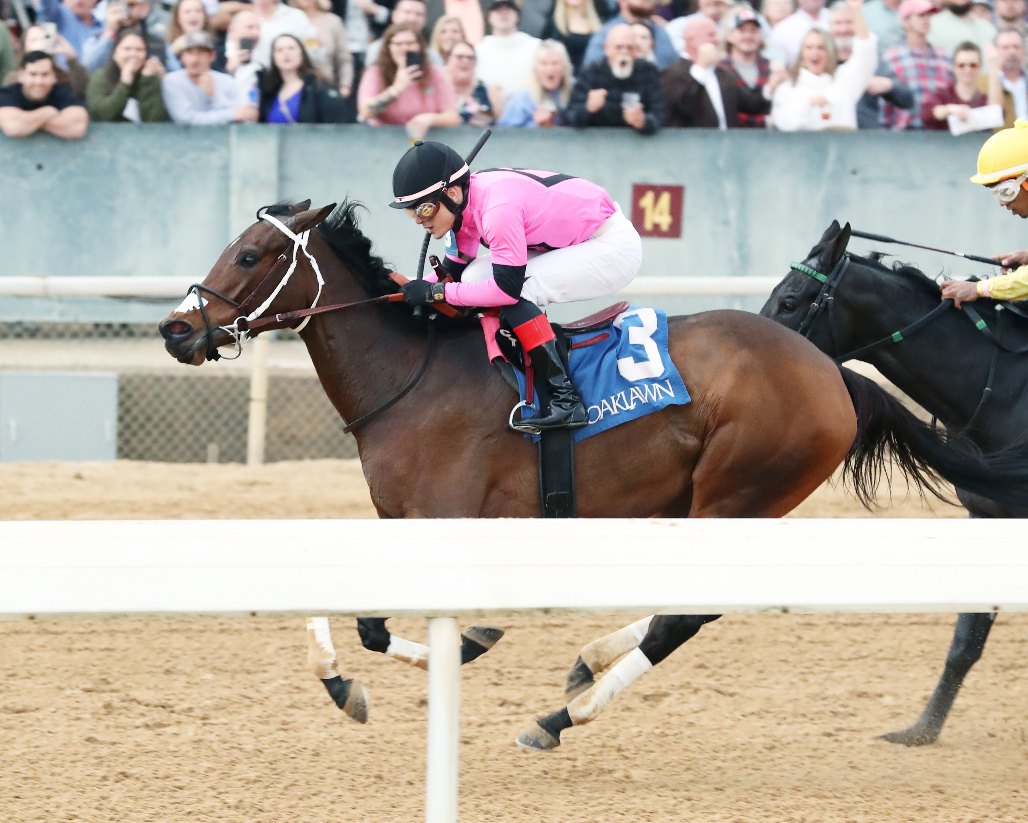 Lovely Ride wins the Pippin at OP Jan 7 2023