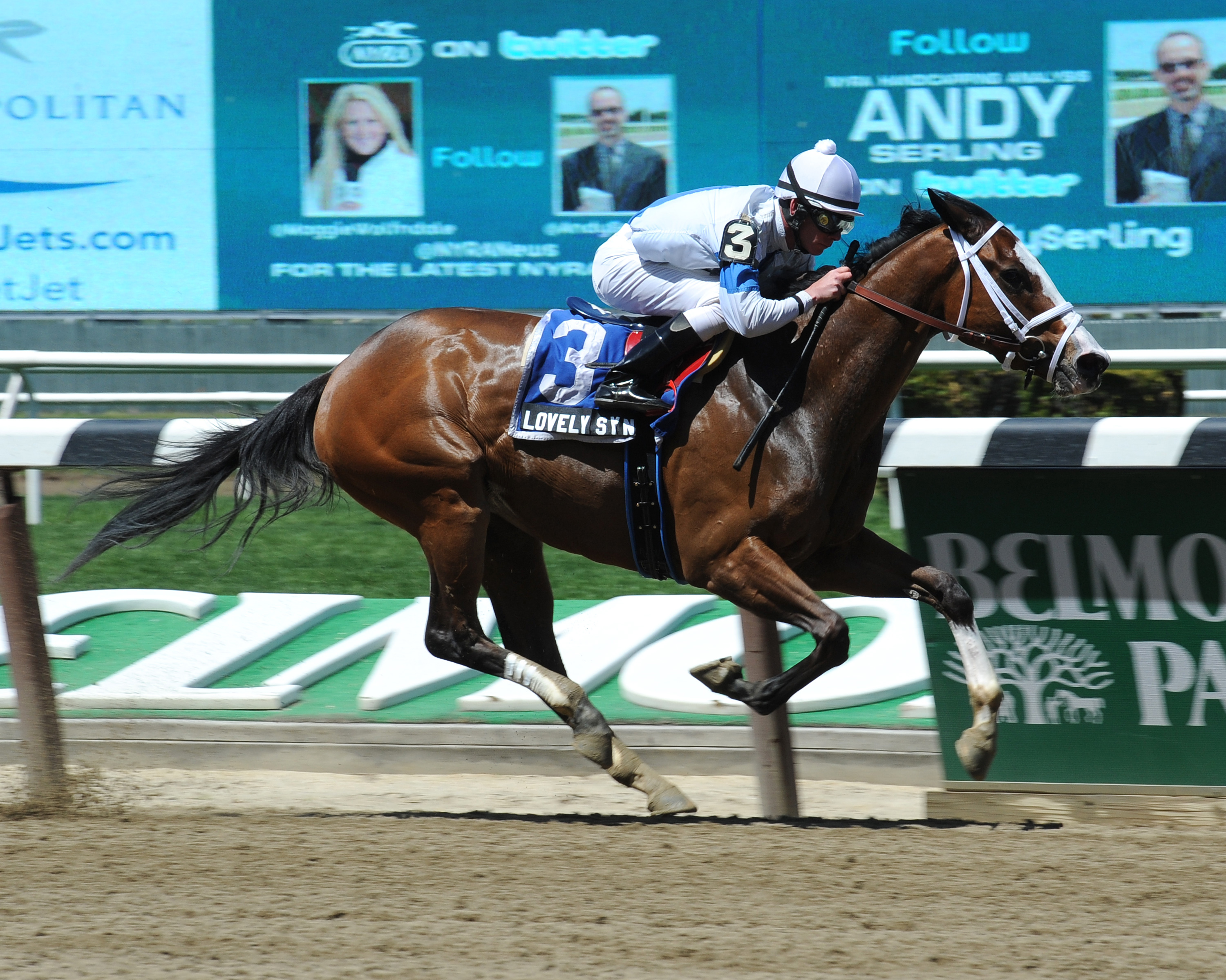Lovely Syn, NY Stallion Stakes Park Avenue Division