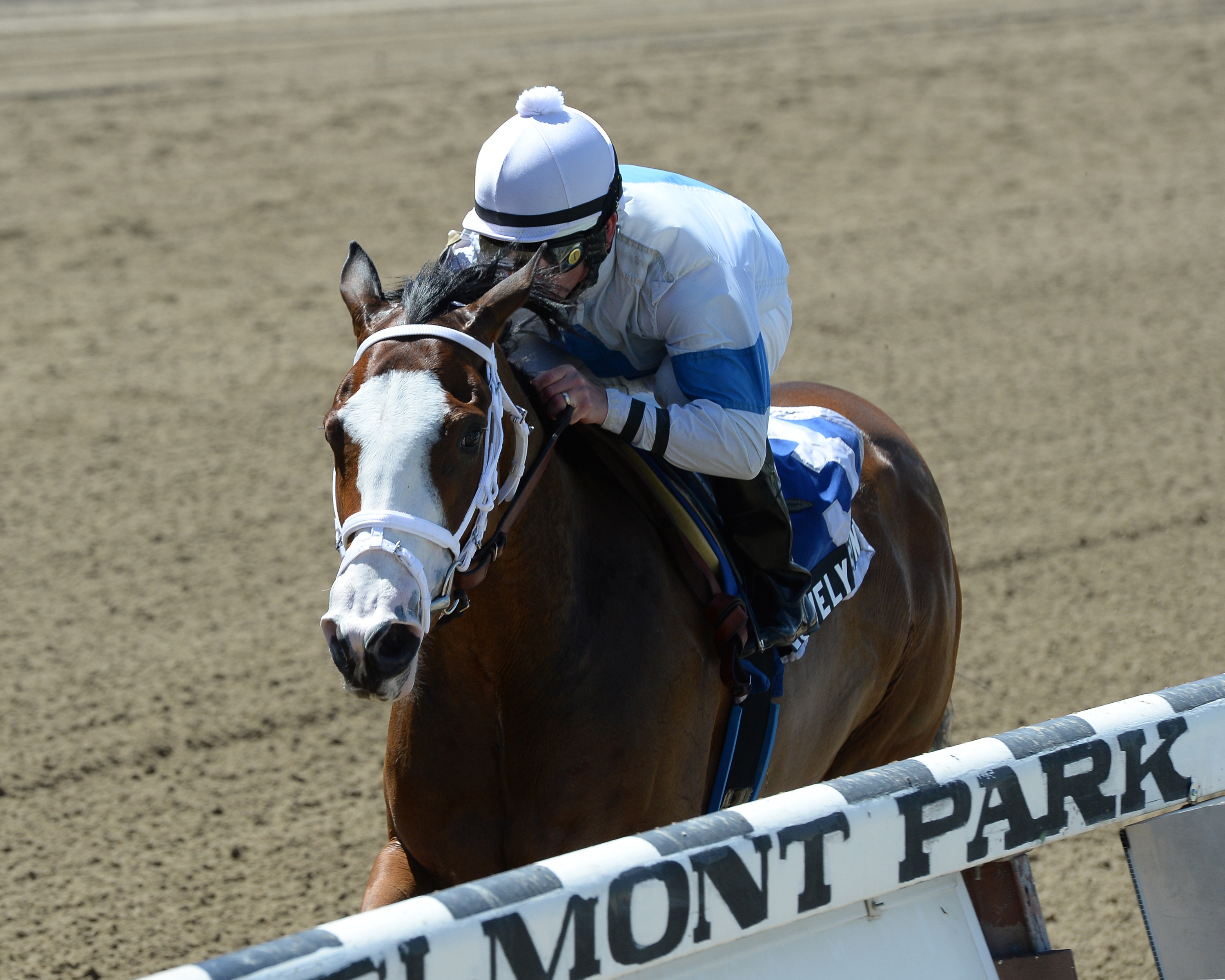 Lovely Syn, New York Stallion Stakes - Park Avenue Division