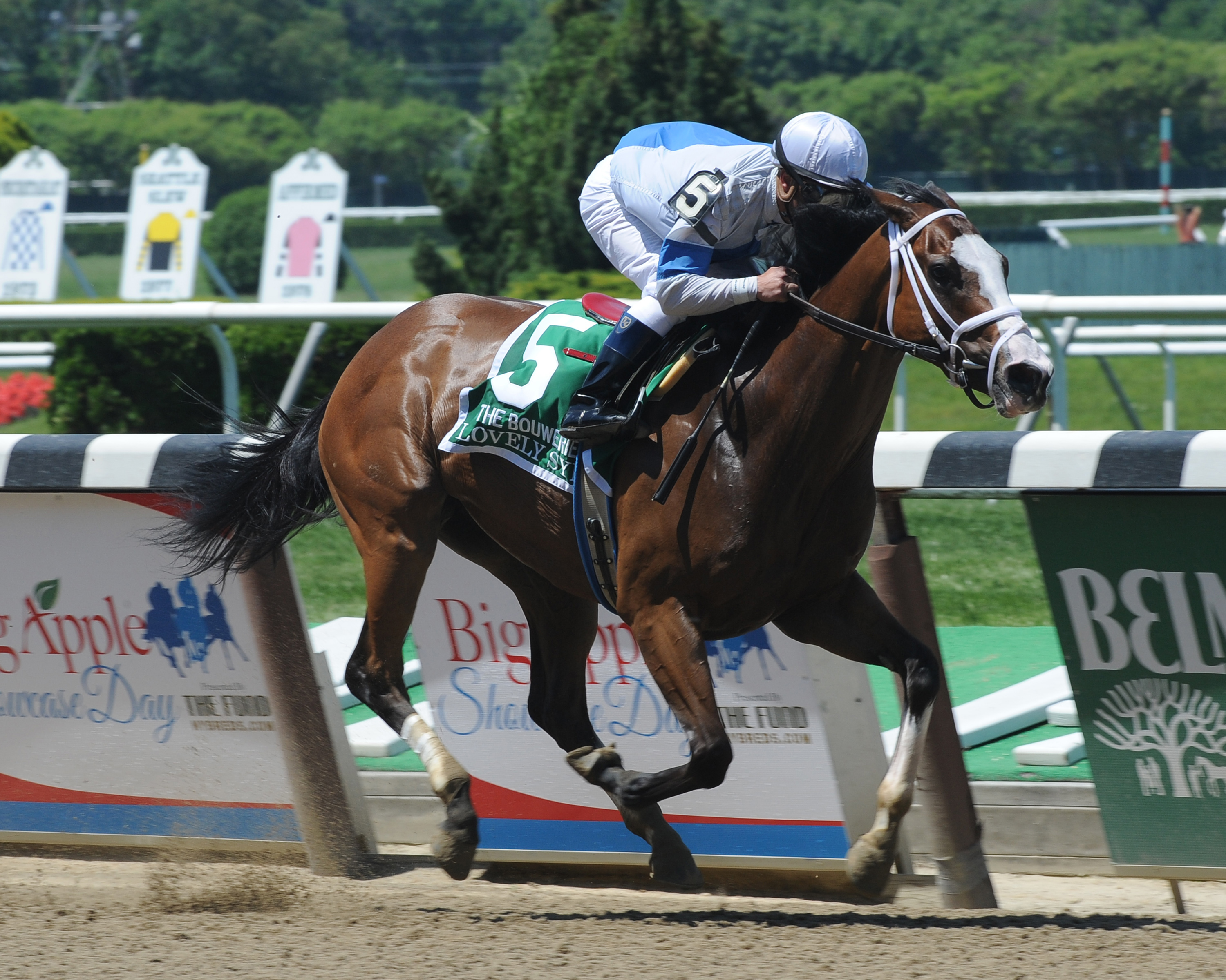 Lovely Syn, Bouwerie Stakes
