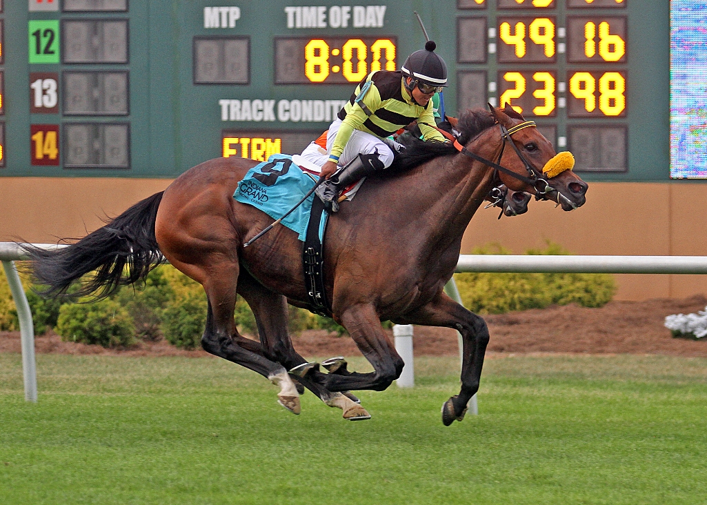 Lovely Loyree wins the 2018 Indiana General Assembly Distaff