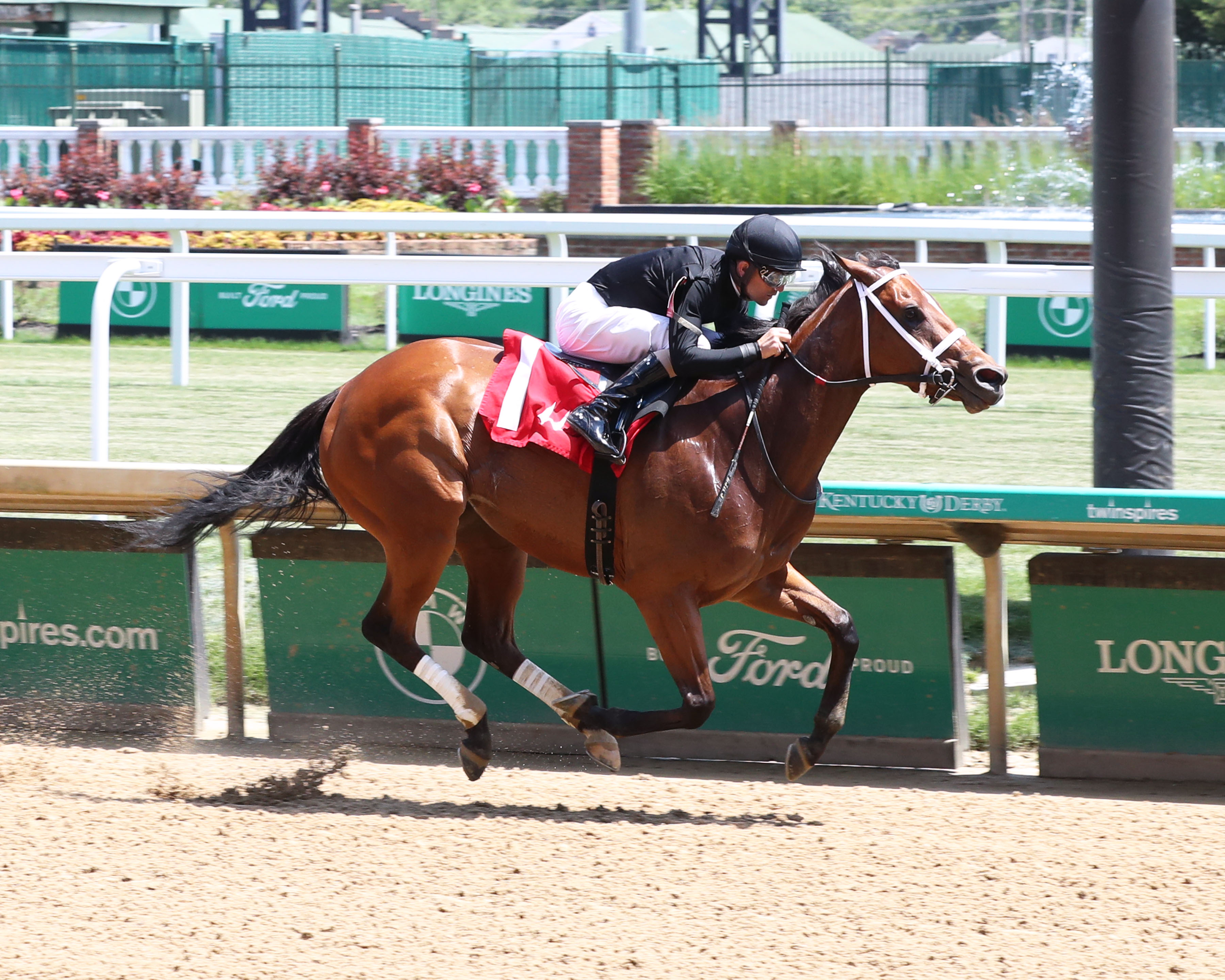 Lovemesomeme, allowance Churchill