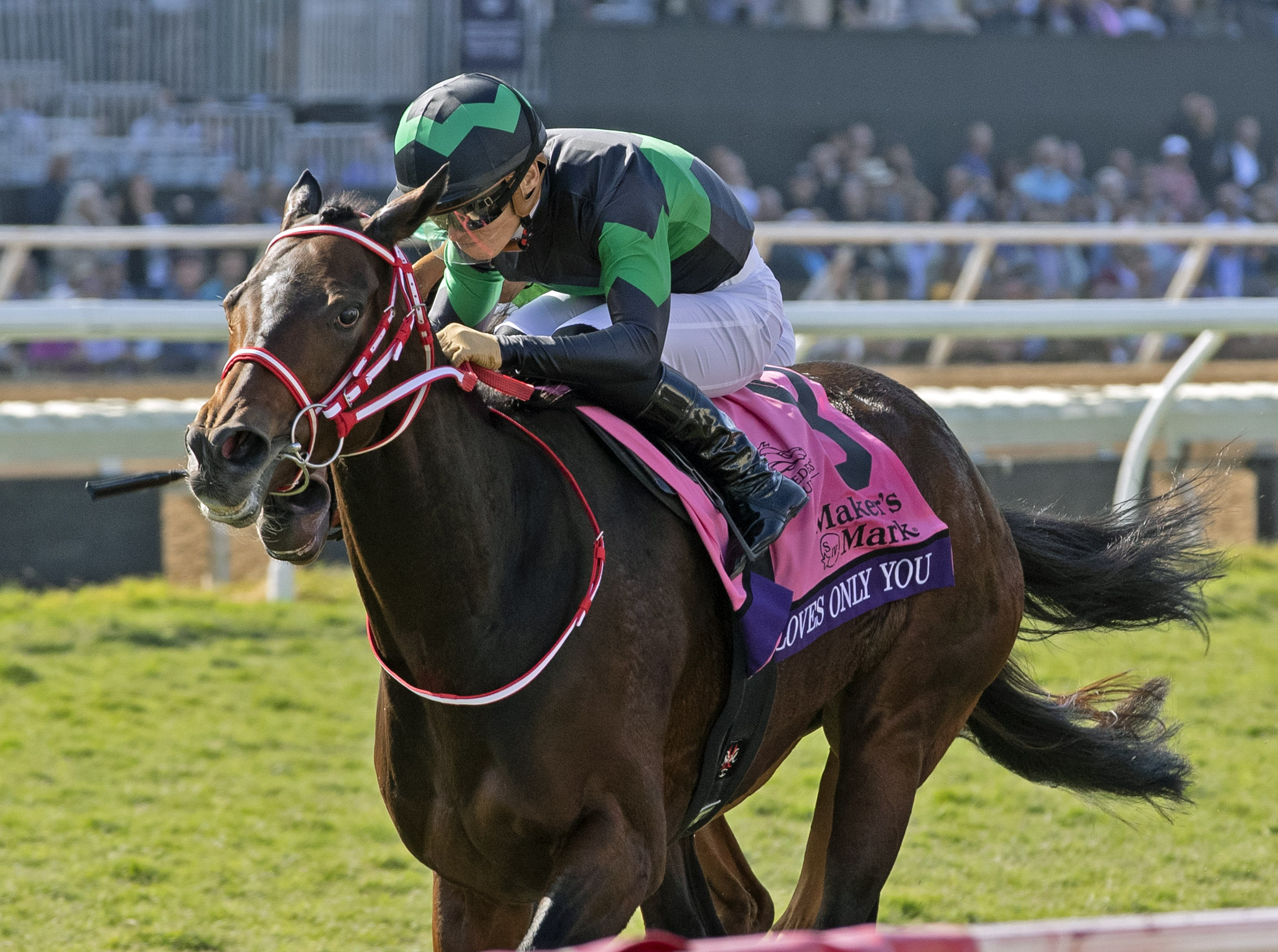 Loves Only You - BC Filly and Mare Turf