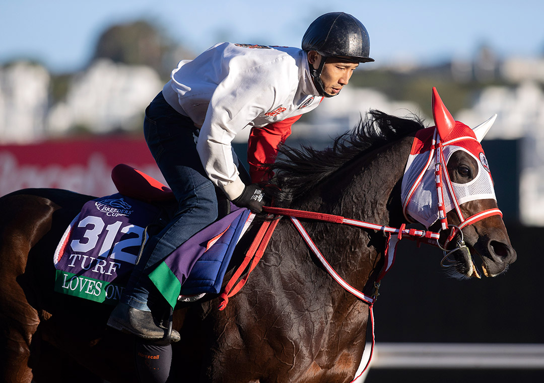 Loves Only You trains at Del Mar on Oct. 28