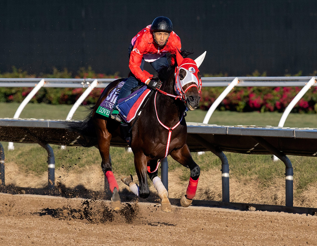 Loves Only You trains at Del Mar on Oct. 29