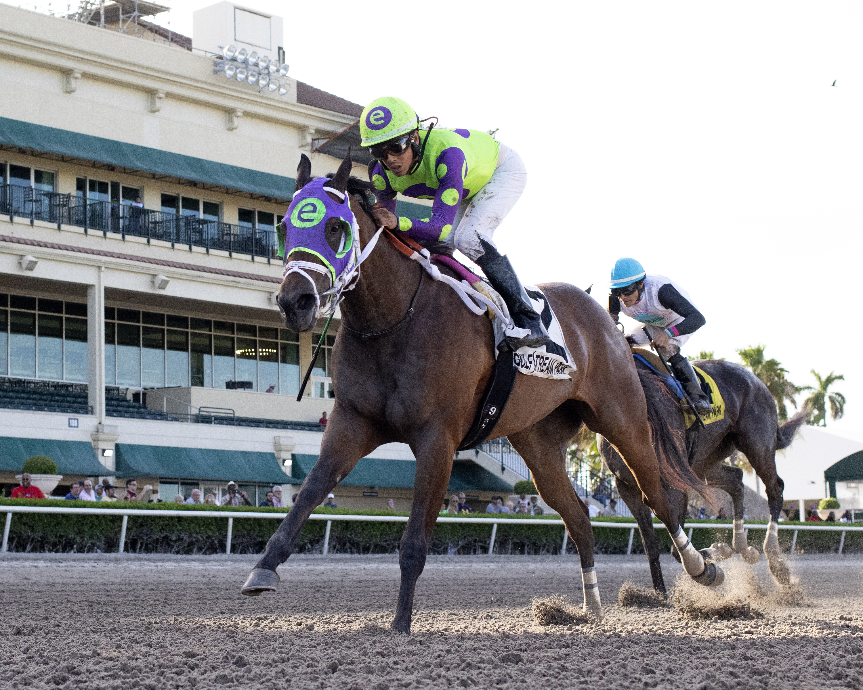 Lovesick wins the 2019 Liza Jane Stakes